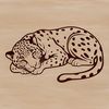 Feline Pattern Design A sleeping big cat with a distinctive coat pattern.