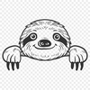 Free Free Sloth Image