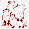 Beautiful Capybara Clip Art A detailed illustration of a large South American rodent with webbed feet.