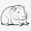 South American Rodent Silhouette A large rodent native to South America, depicted in simplified vector lines.