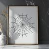 A delicate vector spider web design in various shapes and lines.