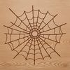 A stylized illustration of a spider web made up of intricately interconnected lines.
