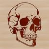 Free Halloween Ornament SVG File A high-resolution SVG design featuring an ornate dripping skull silhouette for Halloween decorations.