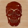 Edgy Vector Skull Design An editable vector graphic representation of a human skull for various creative applications.