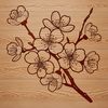 Detailed vector art of a single cherry blossom in full bloom, suitable for digital cutting machines and commercial printing.