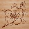 Delicate Cherry Blossom Flower Design A detailed vector design of a single cherry blossom flower with delicate petals and prominent center.