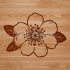 Sakura Bloom Vector Graphic A detailed illustration of a cherry blossom in full bloom, perfect for crafting and design projects.