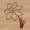 Blooming Beauty: Spring Flower Illustration A digital illustration of a daffodil flower in bloom, suitable for vector graphics design.