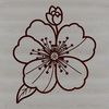 Stylized Cherry Flower Illustration A stylized illustration of a single cherry blossom in bloom with delicate petals and green stem.