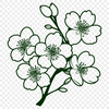 Monochromatic Sakura Bloom An intricately designed vector graphic of a single cherry blossom plant in monochromatic tones.