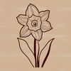 A stylized illustration of a daffodil flower, suitable for use in vector designs and clip art projects.