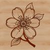 Cherry Blossom SVG Clip Art Design A stylized illustration of a cherry blossom flower with delicate petals and a prominent center.