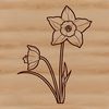 Spring Florals in Vector Form A single white daffodil with yellow center on a green stem in a natural setting.
