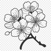 Sakura Bloom Vector Artwork A stylized illustration of a single cherry blossom in bloom, featuring delicate petals and a central stem.