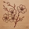 Illustrated vector graphic of a cherry blossom flower in bloom.