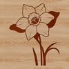 Decorative Daffodil Illustration Close-up of a single daffodil plant with trumpet-shaped blooms in full bloom.