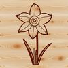 Free Vector Daffodil Graphics An SVG graphic representation of a daffodil plant in bloom.