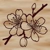 Sakura Bloom Vector Art A high-quality illustration of a cherry blossom in bloom, suitable for digital and print use.