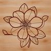 Delicate Sakura Blooms in Full Flower An intricately designed sakura plant with delicate petals in full flower.