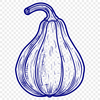 Squash Vector Art In SVG File Format For Free Download