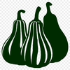 Beautiful Squash In PDF Free Commercial Use Download