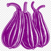 Stunning Squash In DXF - Free Digital Download