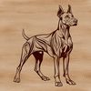 Beautiful Standing Doberman Pinscher Breed Dog Illustration Illustrative vector graphic of a standing Doberman Pinscher breed dog.