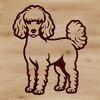 A portrait of a standard poodle standing on its hind legs, suitable as a digital vector clip art design.
