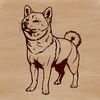 Fox-Faced Canine Companion A standing Shiba Inu dog breed with short coat and distinctive fox-like features.