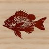 Crappie Illustration in Aquatic Setting A high-quality illustration of a crappie fish in a clear aquatic environment.