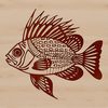 An SVG representation of a small to medium-sized game fish found in North American lakes and rivers.
