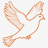A white dove with smooth feathers and a gentle expression, illustrated in vector format.