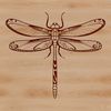 A detailed illustration of a dragonfly, a type of insect with iridescent wings.