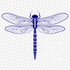 Beautiful Mid-Flyer Dragonfly Illustration A detailed illustration of a dragonfly in mid-flight, suitable for vector graphics.