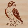 Vector Bird Illustration - Falcon in Flight A high-quality vector illustration of a falcon in mid-flight.