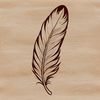 An isolated design element featuring the silhouette of a bird's feather in scalable graphics (SVG) format.