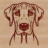Faithful Friend Silhouette Portrait of a Great Dane, a popular domesticated animal often kept as a pet.