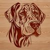 Stunning Great Dane Portrait A large breed dog with distinctive physical features, ideal for vector design projects.