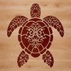 A detailed illustration of a sea turtle in various poses, suitable for vector graphics and digital design.