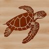 A detailed drawing of a sea creature commonly found in seaside waters.
