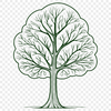 Tree Silhouette Vector Graphics Template A detailed illustration of a tree with branches and leaves, suitable for vector design and cutting machine stencils.