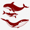 Whale SVG Clipart for Design Projects An illustrative SVG vector of a whale for commercial or personal use.