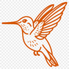 Free Unique Hummingbird Template PNG - Commercial Use