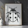 Free Unique Ladybug Vector Drawing