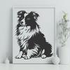 Beautiful Sitting Shetland Sheepdog Vector Drawing