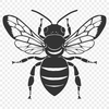 Free Bee Clipart - Free DXF