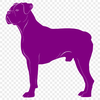 Standing Dog - PNG