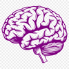 Free Brain - SVG For Commercial Use