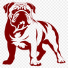 Stunning Bulldog In SVG Free Commercial Use Download