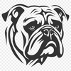 Unique Bulldog Vector Illustration In DXF For Free Download